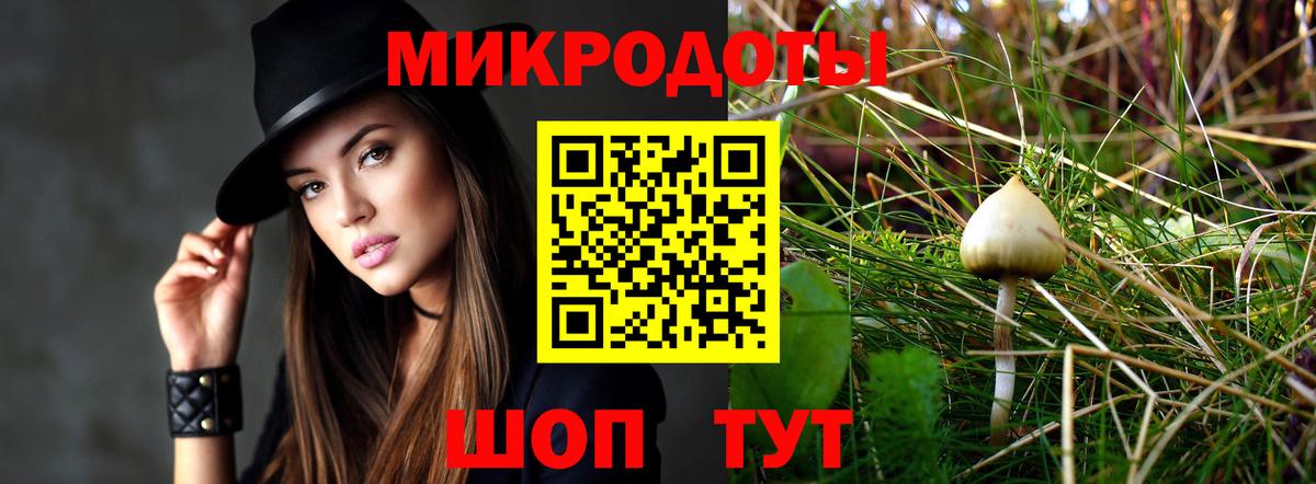 Псилоцибиновые грибы Cubensis Гай